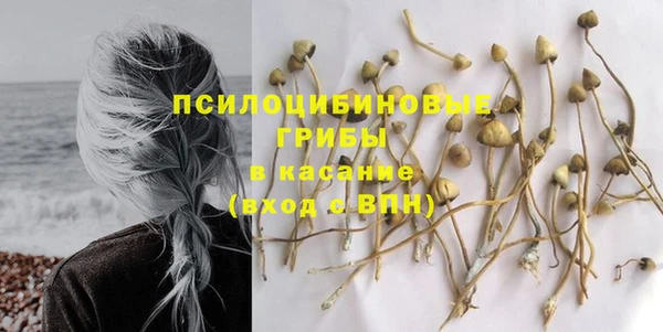 трава Балабаново